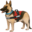 🐕🦺