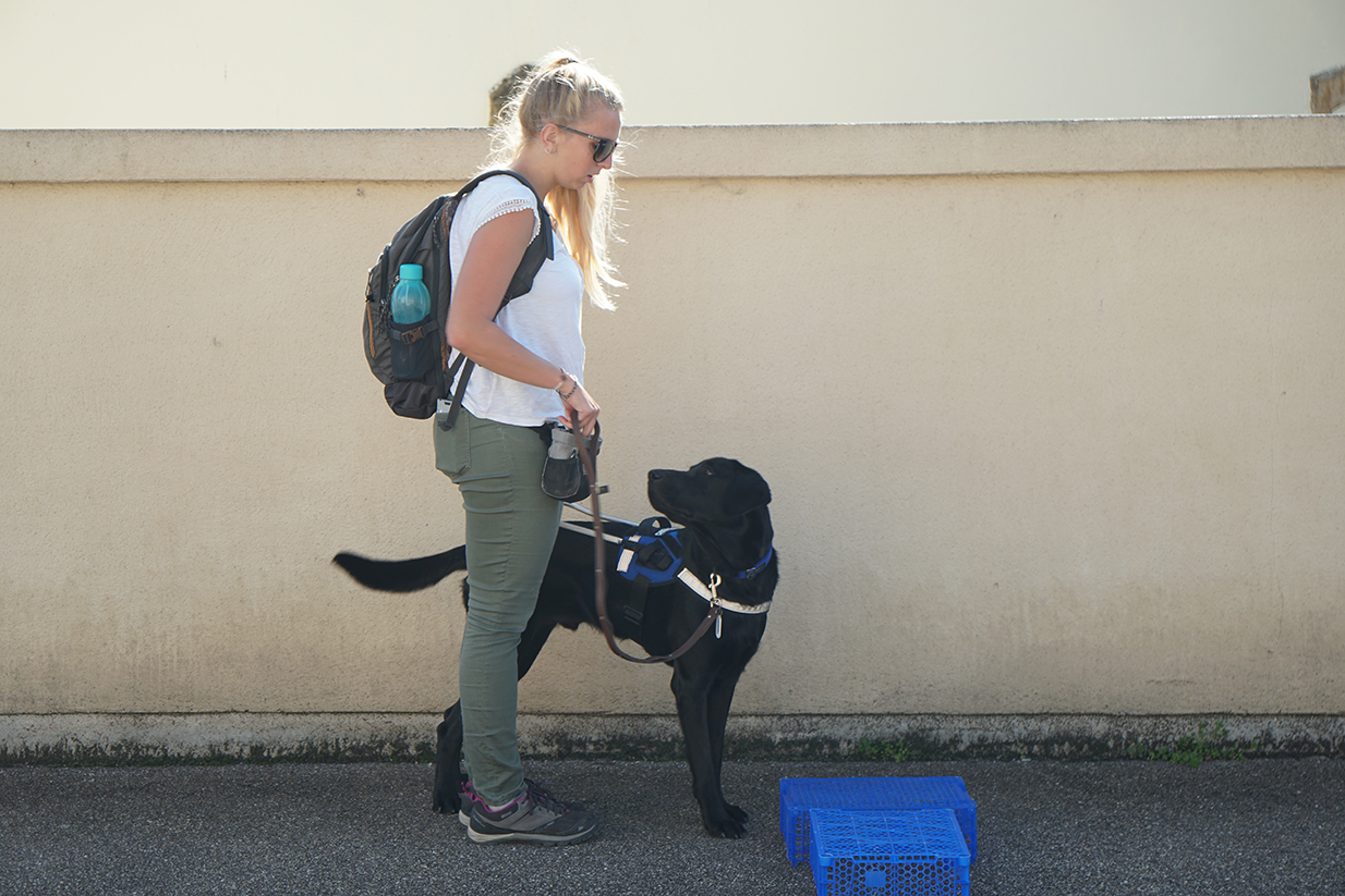 Femme tenant en laisse un chien noir devant des boîtes bleues