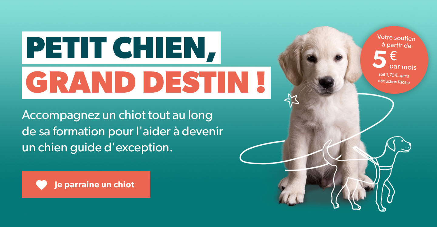 Petit Chien, Grand Destin - Chiens Guide Est