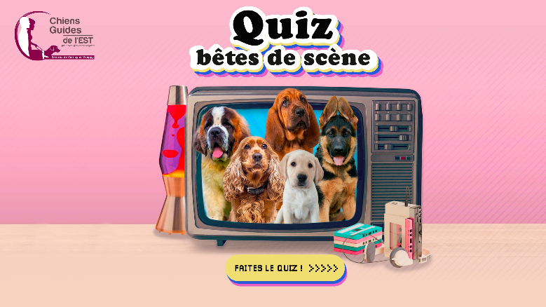 👉 Faites le quiz et partagez votre score !