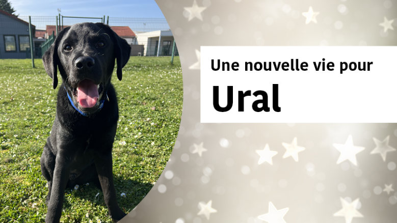 Merci ! Vous avez offert une nouvelle vie à Ural 🫶🏼