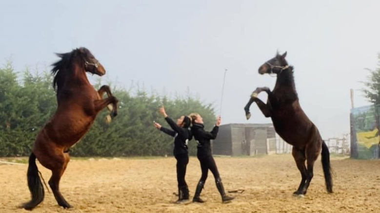 Stand - Parc nature de cheval Altwiller - lundi 18 avril 2022