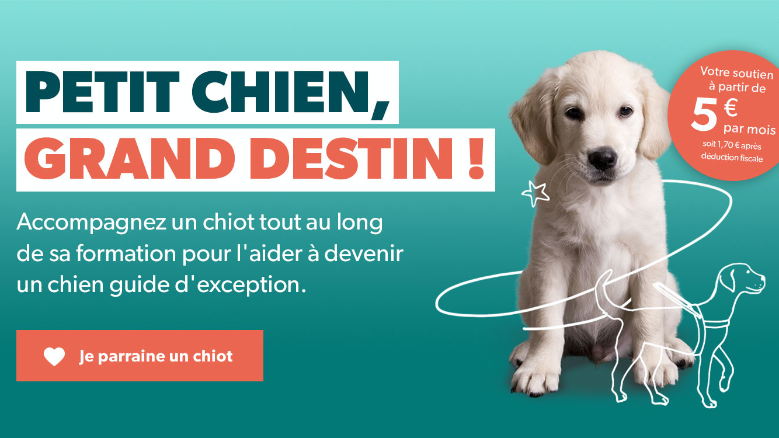 Petit chien, grand destin !